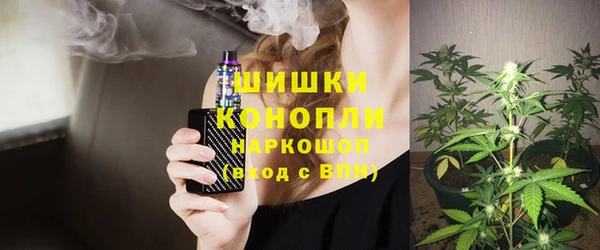 дмт Алзамай
