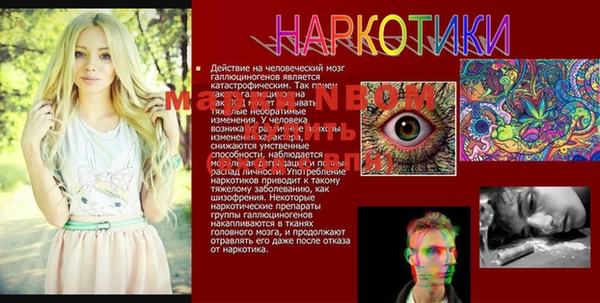 дмт Алзамай