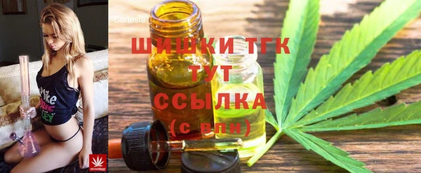 дмт Алзамай
