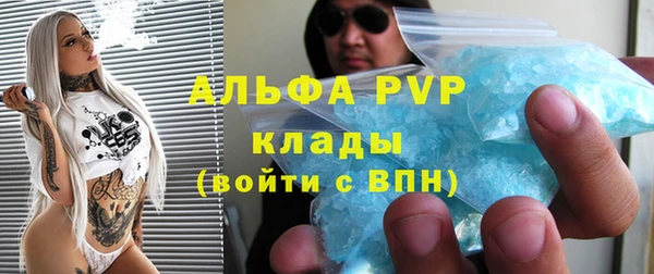 дмт Алзамай
