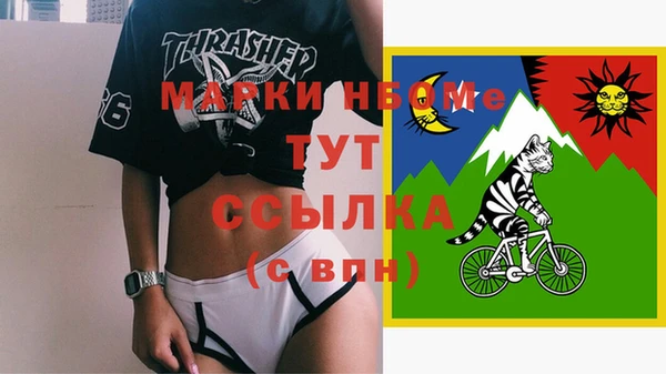 дмт Алзамай