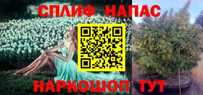 мет Кохма