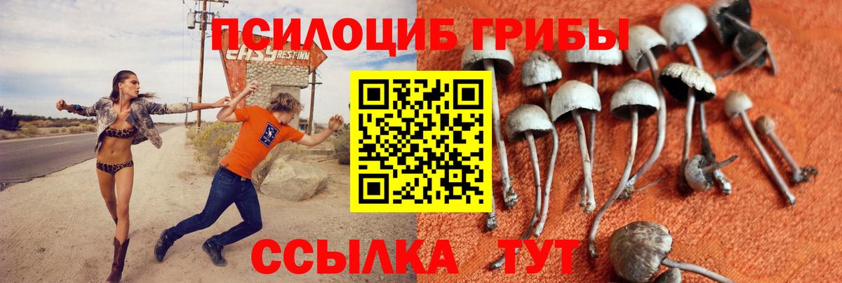 Псилоцибиновые грибы MAGIC MUSHROOMS Белебей