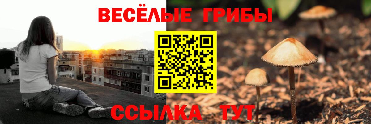 наркота  Вход с VPN  Белебей  Псилоцибиновые грибы ЛСД 